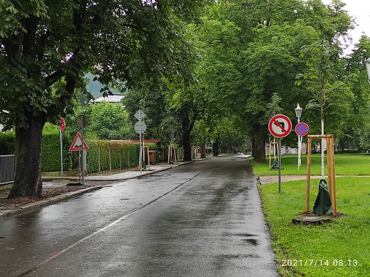 Dosadba dřevin na území města