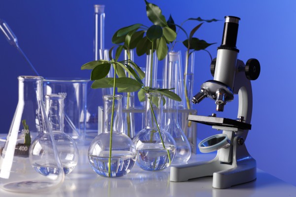 Vybudování učebny přírodopisu na ZŠ Úšovice